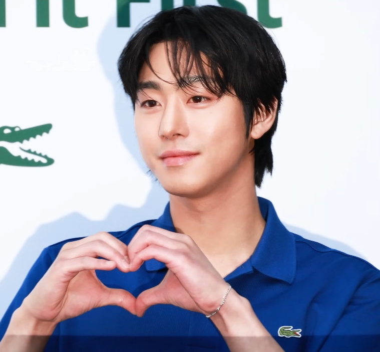 Ahn Hyo-seop, Acteur