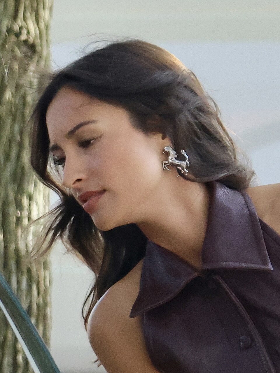 Alexandra Saint Mleux, Influenceur