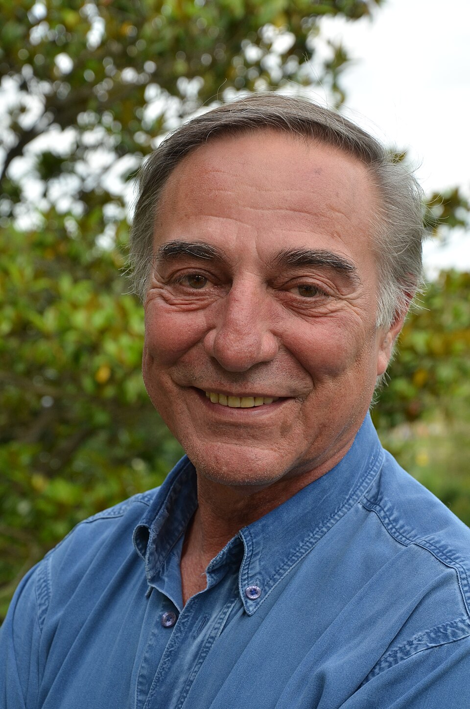 Allain Bougrain-Dubourg, Journaliste