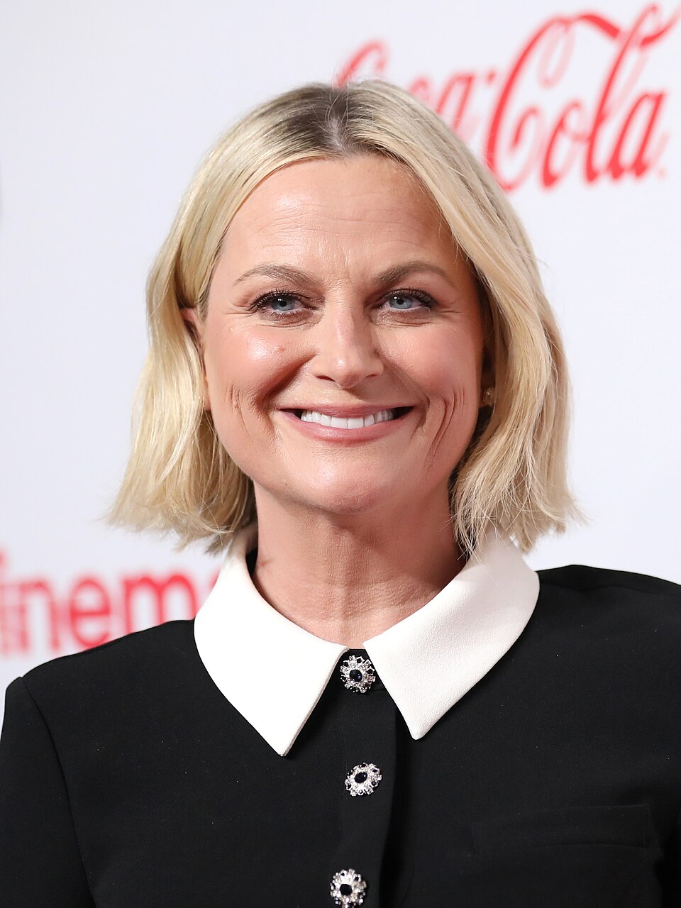 Amy Poehler, Acteur