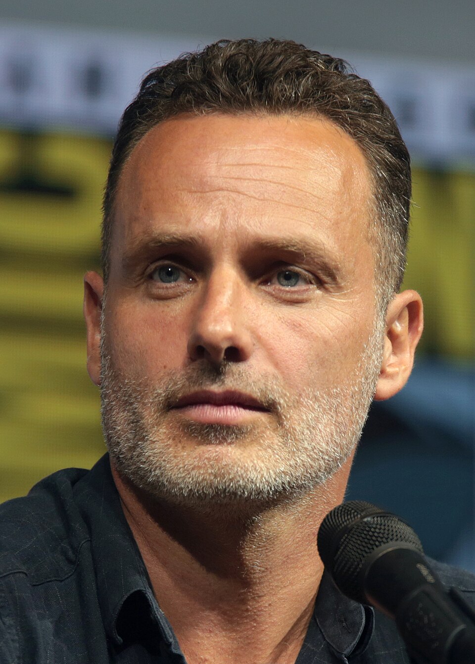 Andrew Lincoln, Acteur