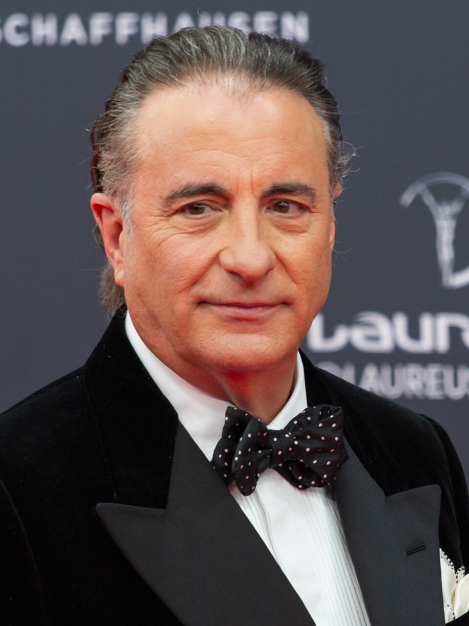 Andy García, Acteur