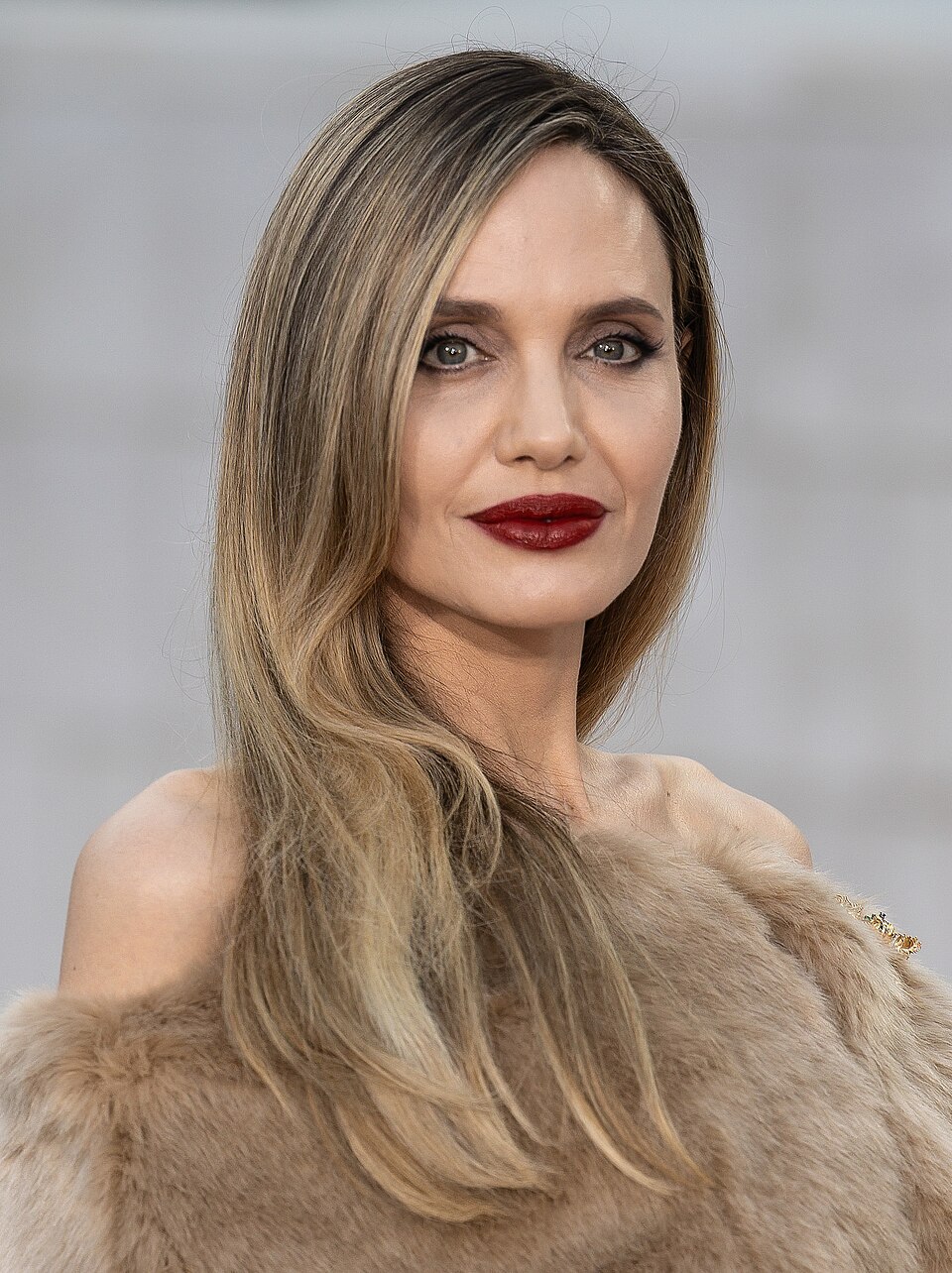 Angelina Jolie, Acteur