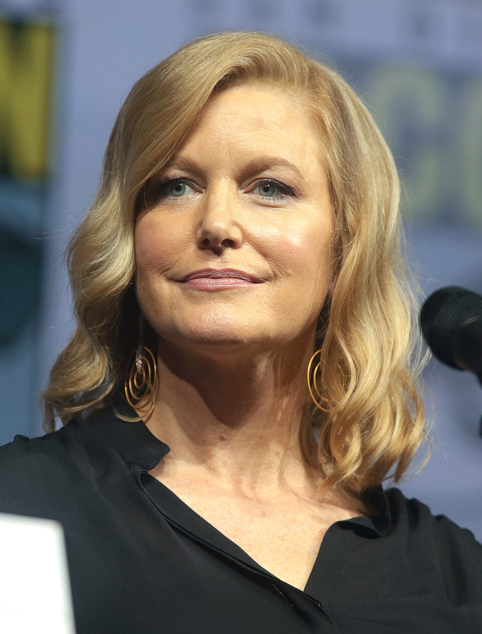 Anna Gunn, Acteur