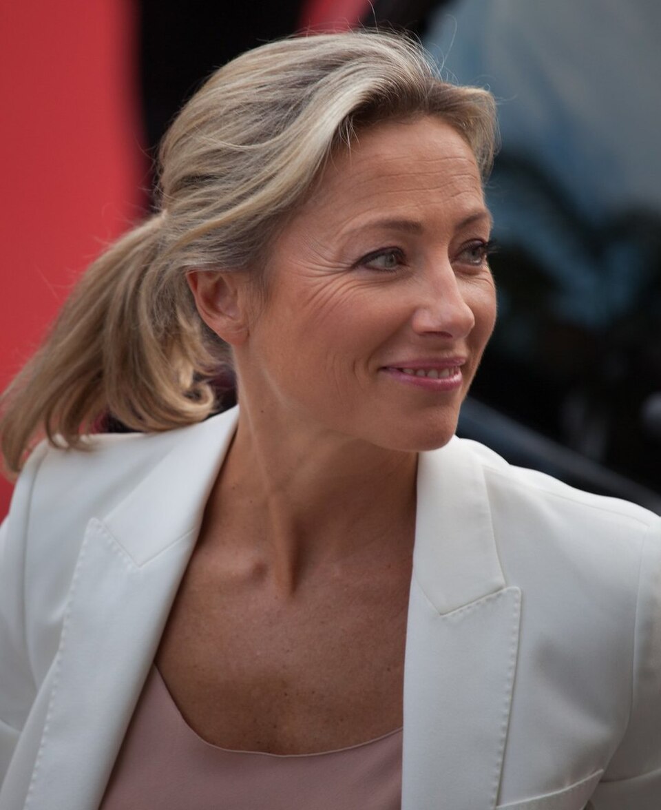 Anne-Sophie Lapix, Journaliste