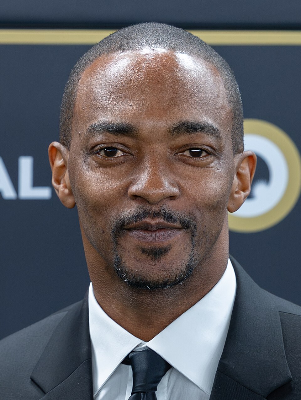 Anthony Mackie, Acteur