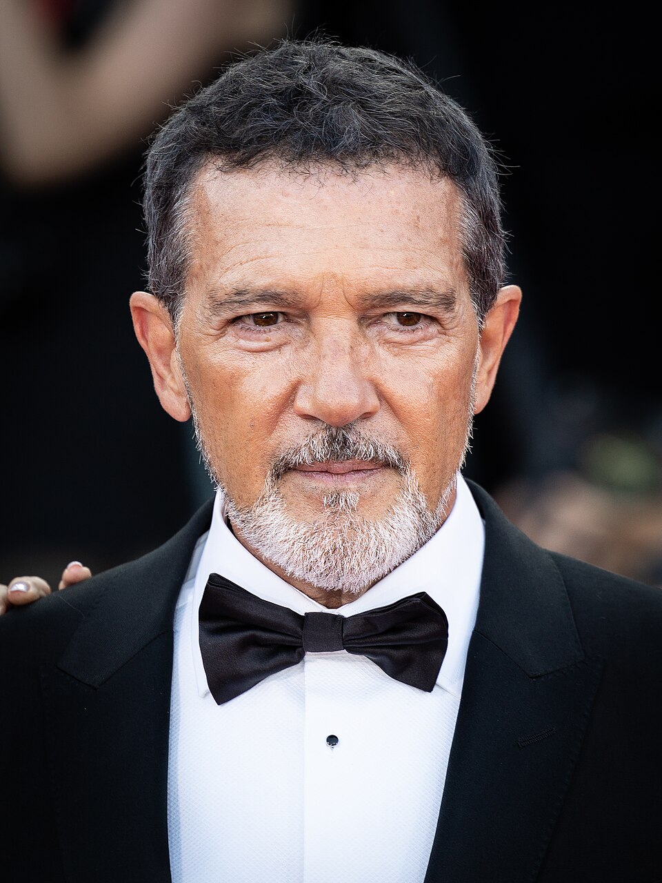 Antonio Banderas, Acteur