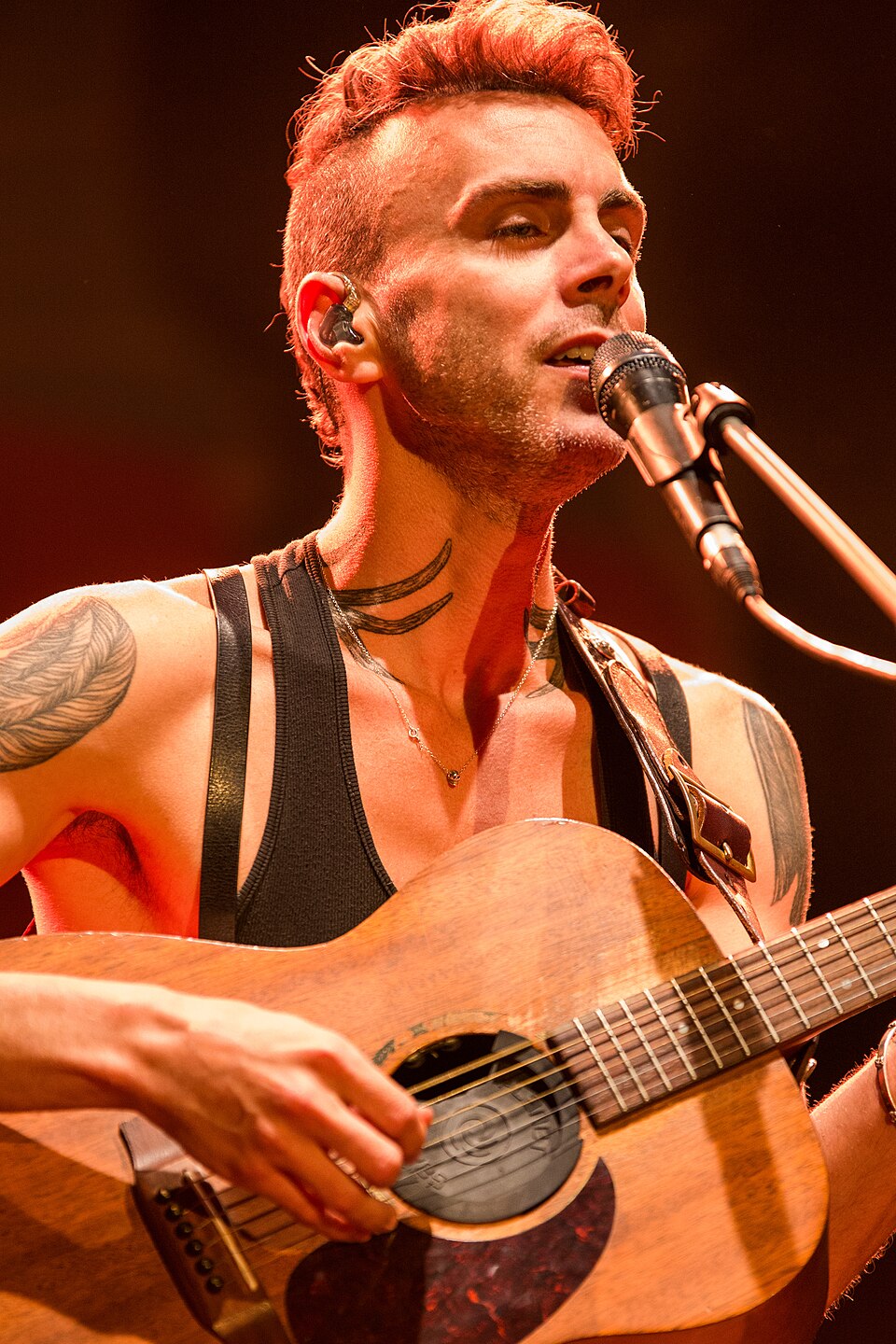 Asaf Avidan, Chanteur