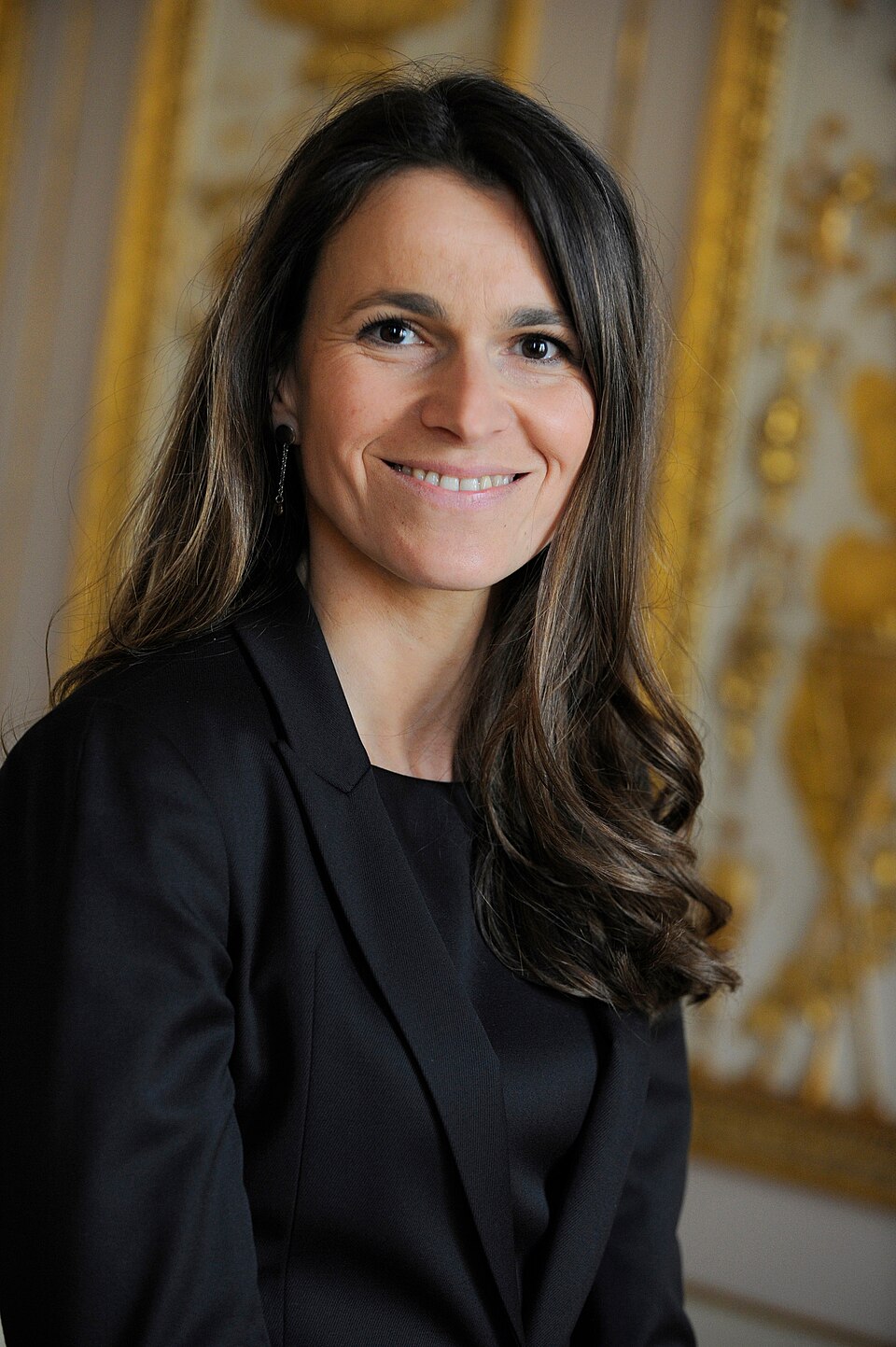Aurélie Filippetti, Personnalité politique