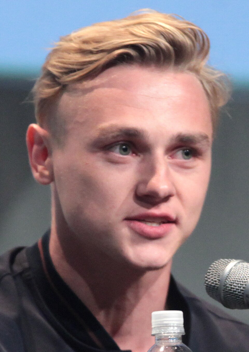 Ben Hardy, Acteur