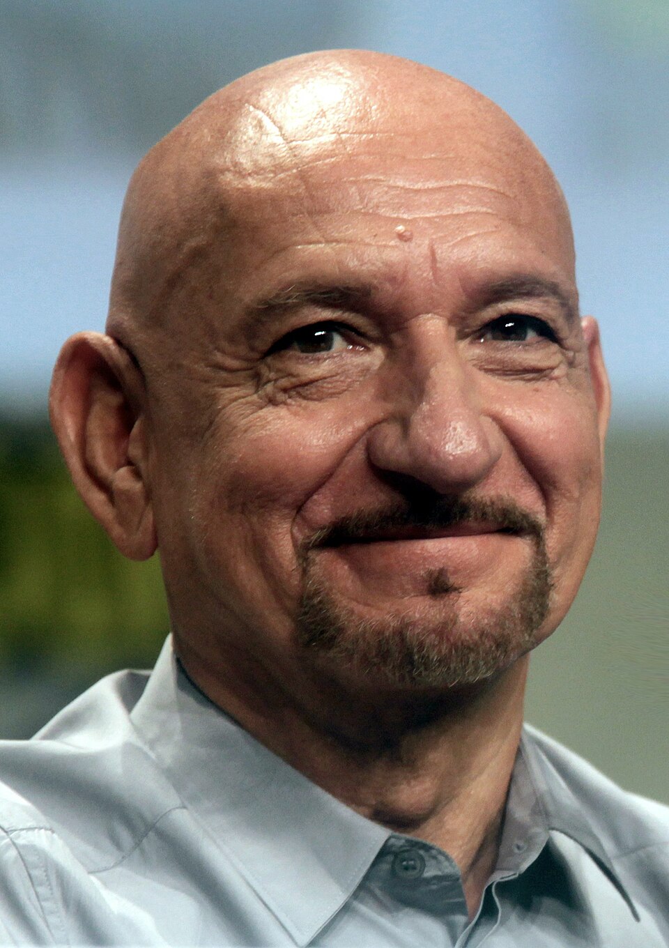 Ben Kingsley, Acteur