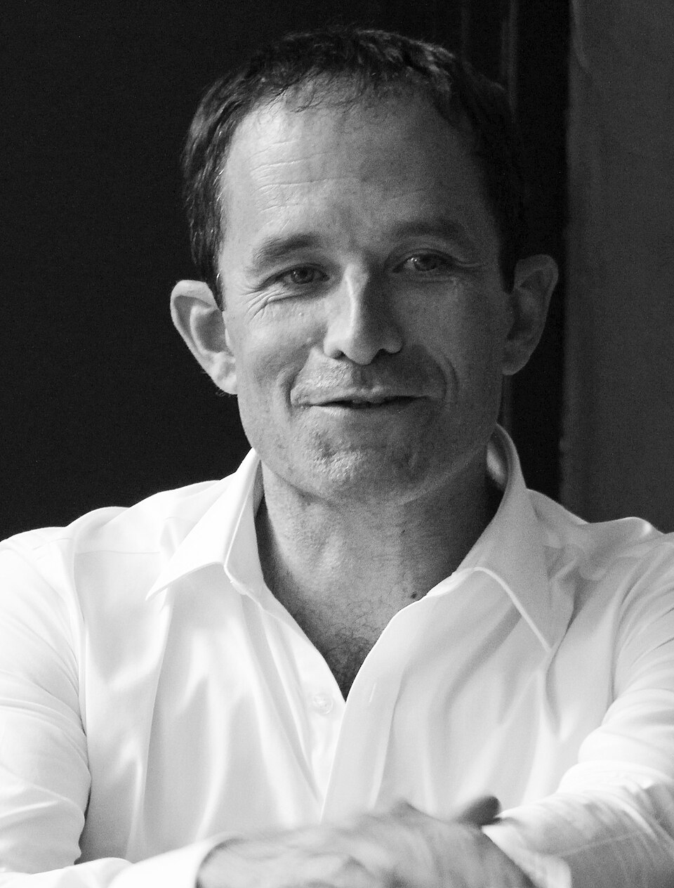 Benoît Hamon, Personnalité politique