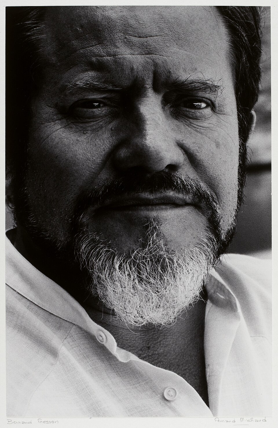 Bernard Fresson, Acteur