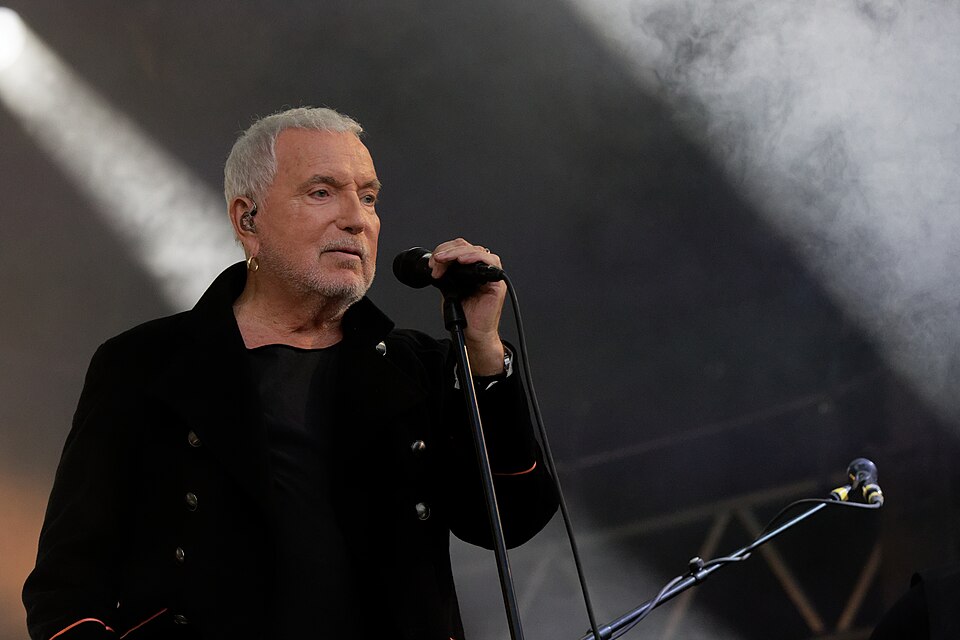 Bernard Lavilliers, Chanteur