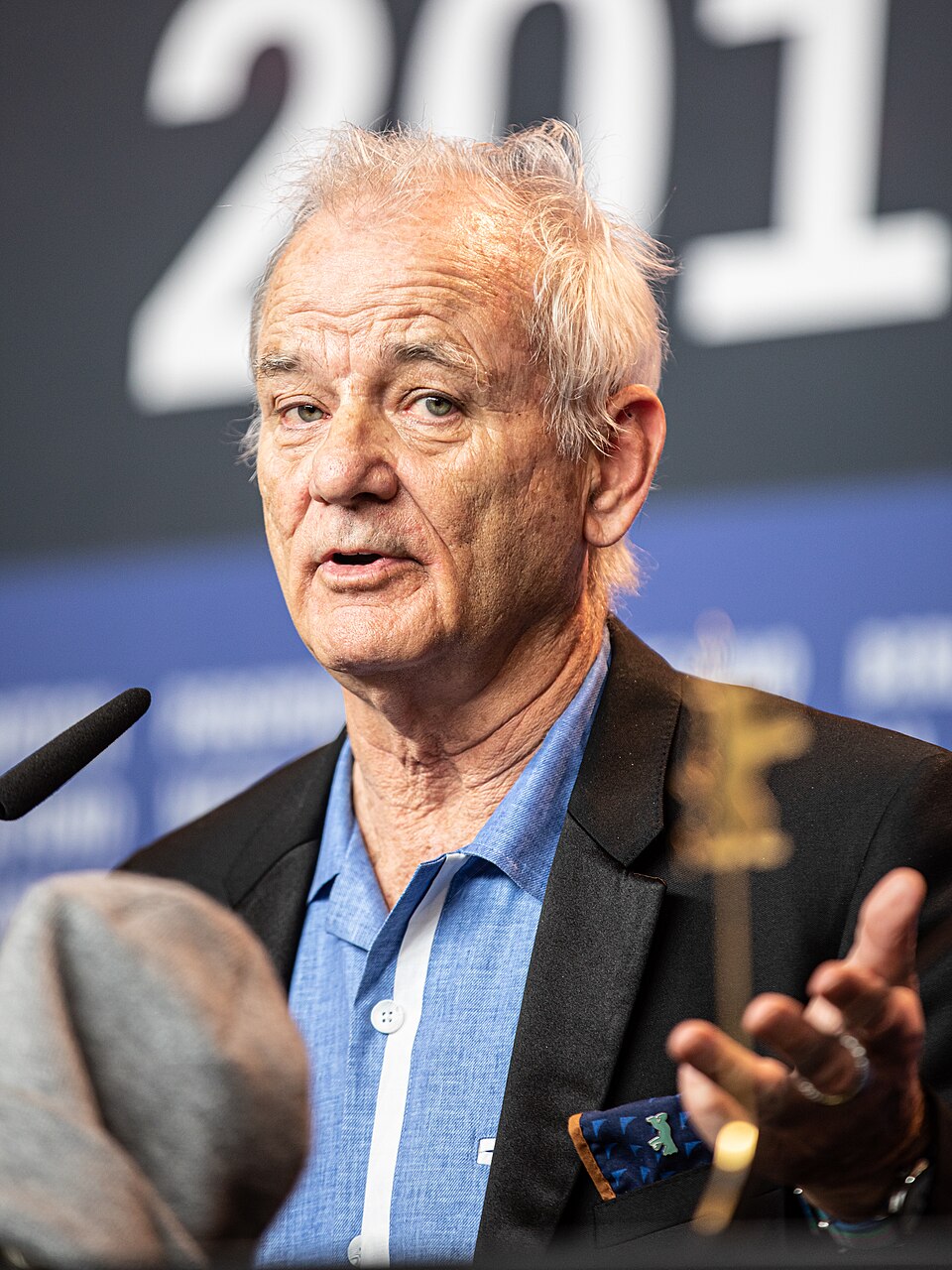 Bill Murray, Acteur