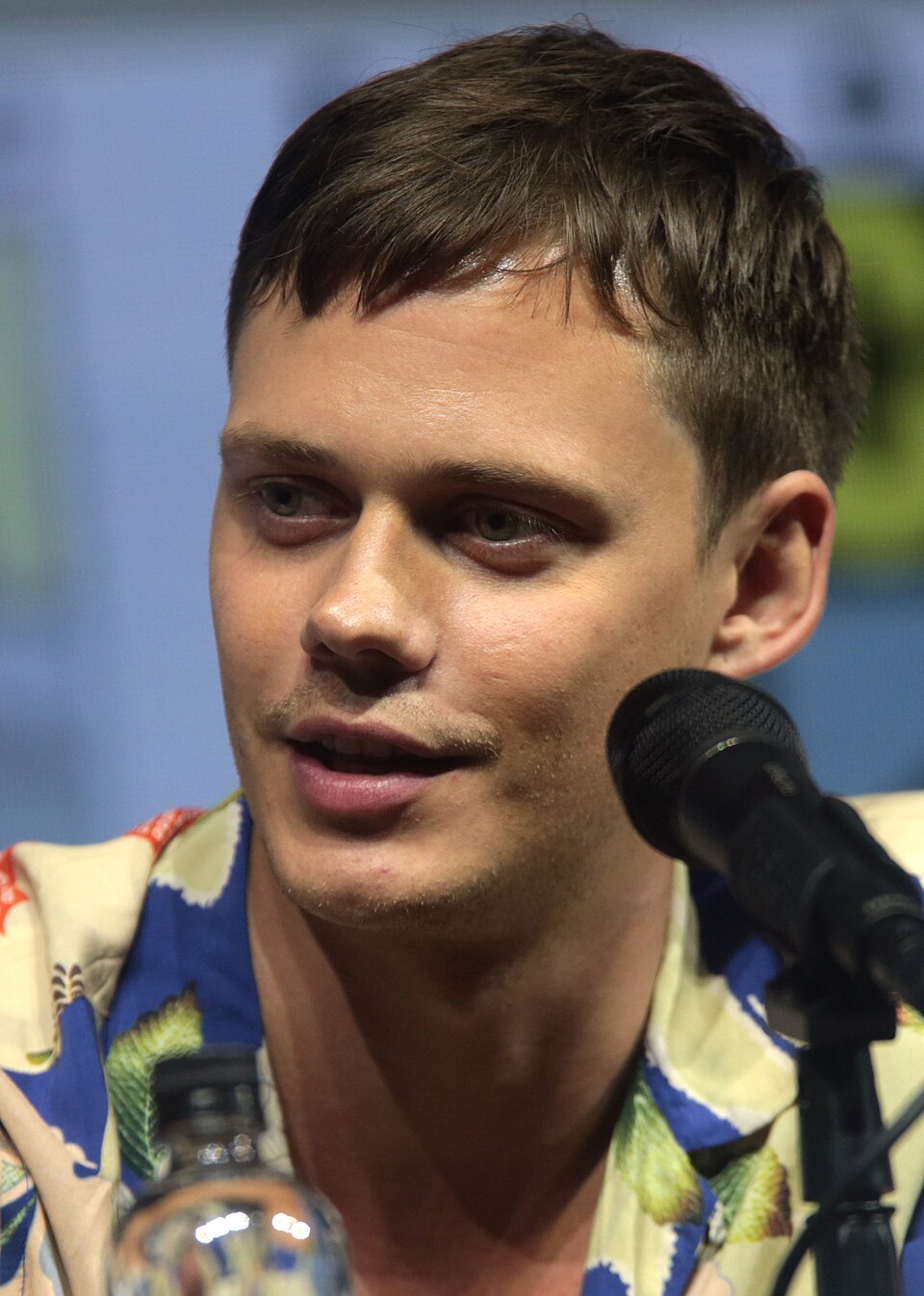 Bill Skarsgård, Acteur
