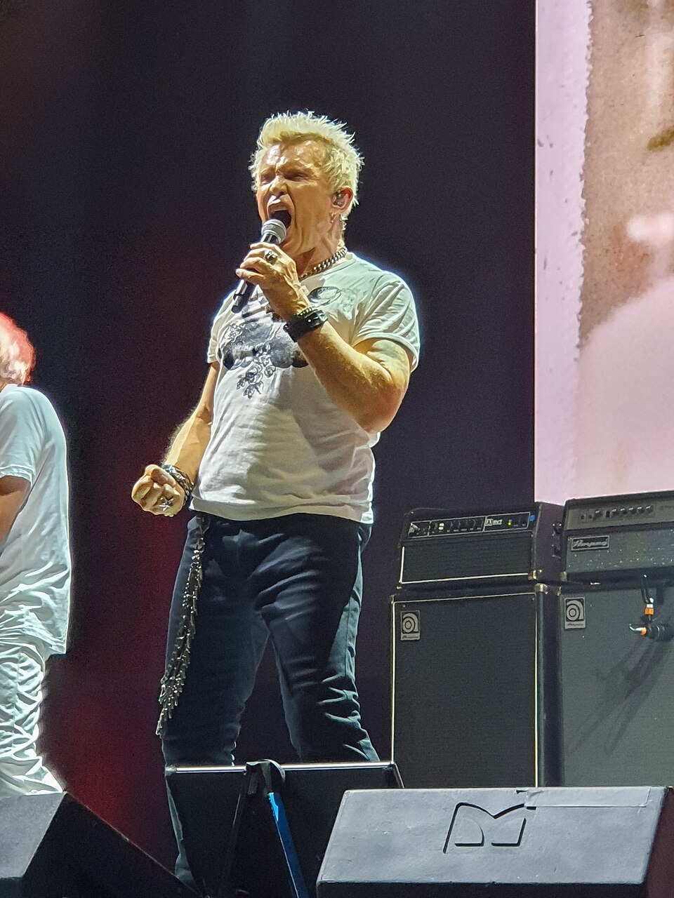 Billy Idol, Chanteur