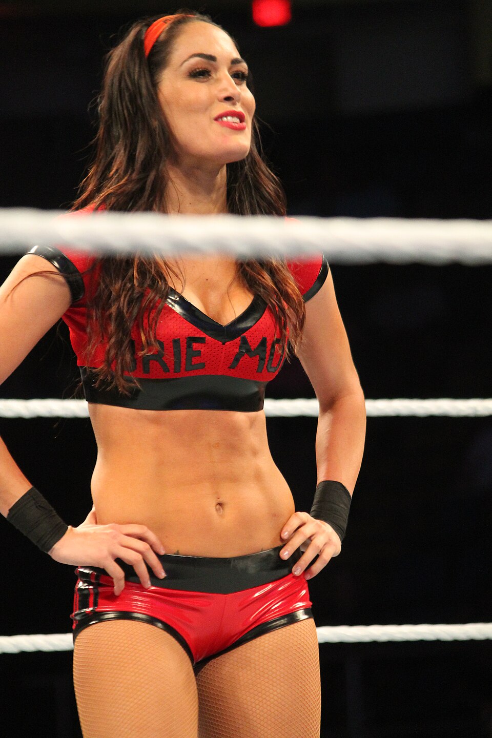 Brie Bella, Catcheur