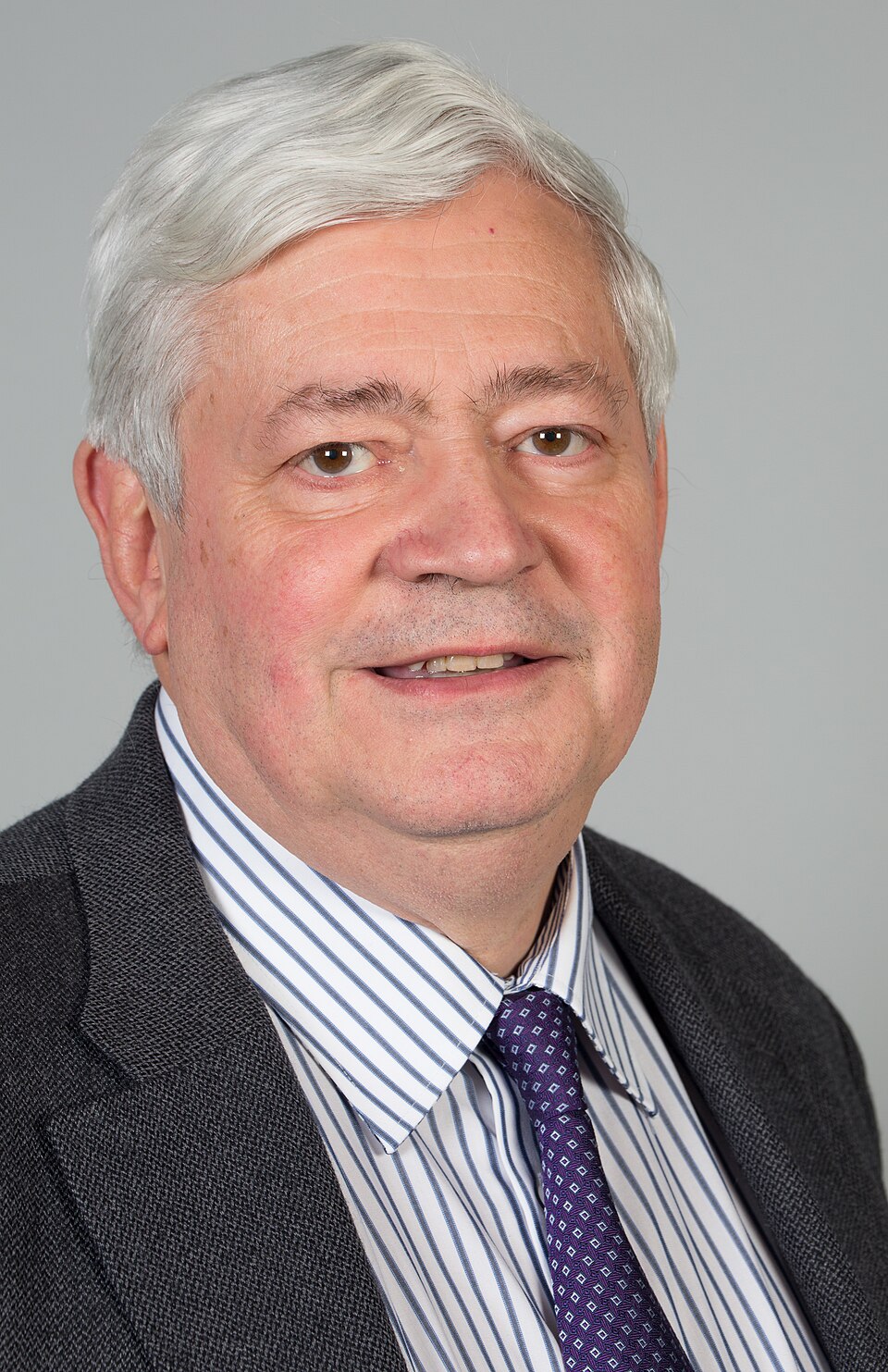 Bruno Gollnisch, Personnalité politique