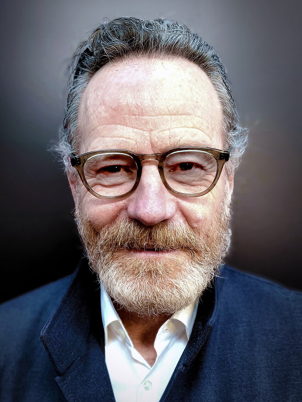 Bryan Cranston, Acteur