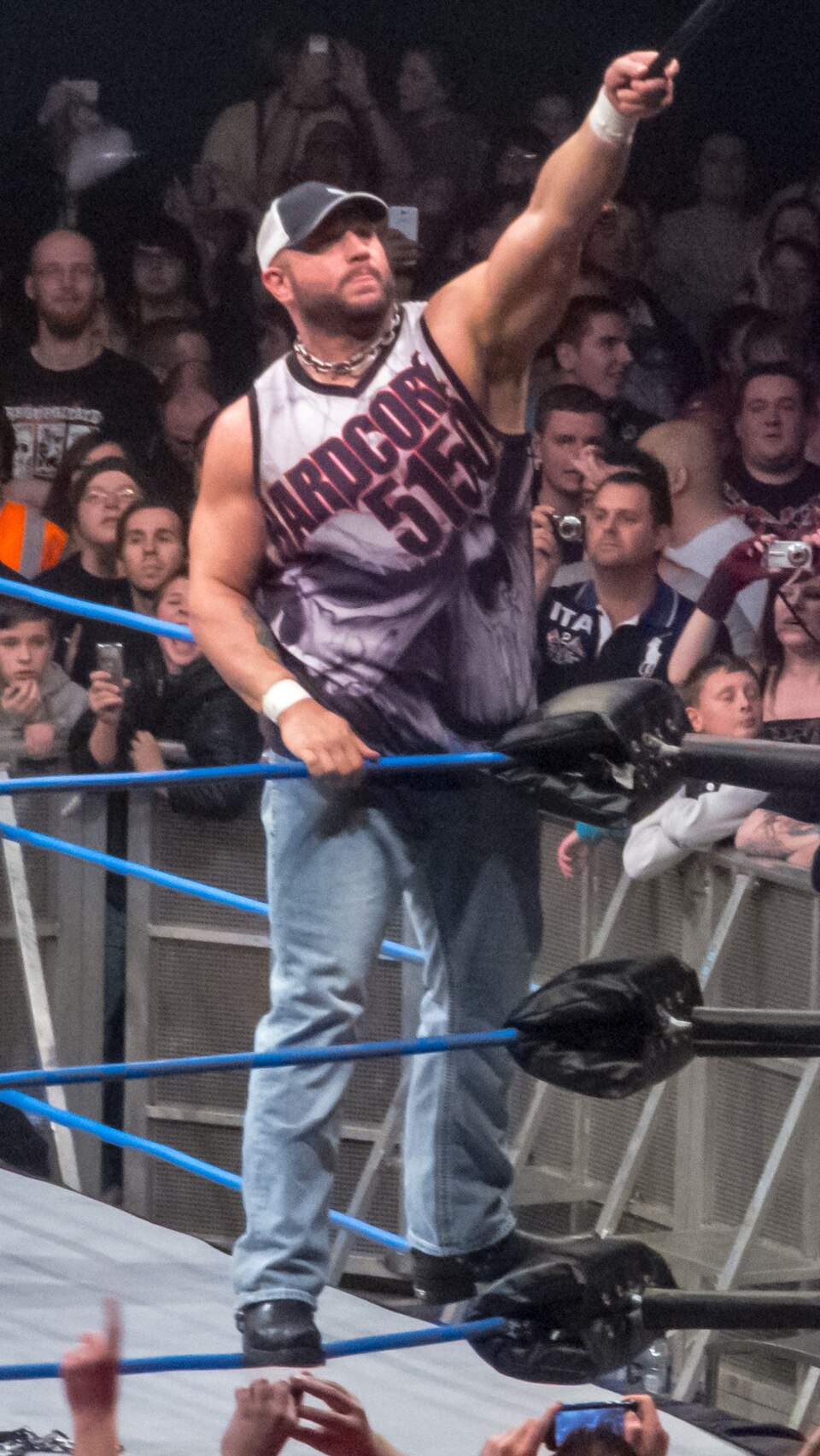 Bully Ray, Catcheur