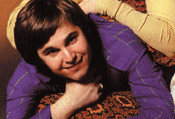 Carl Wilson, Musicien