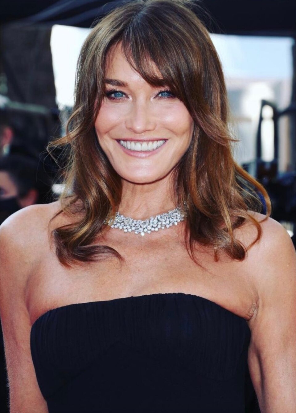 Carla Bruni, Chanteur