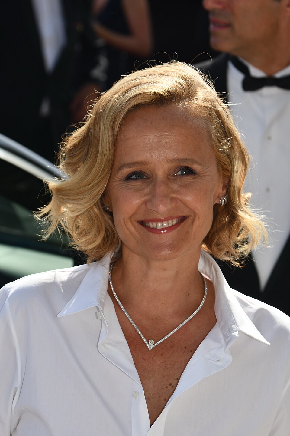 Caroline Roux, Journaliste