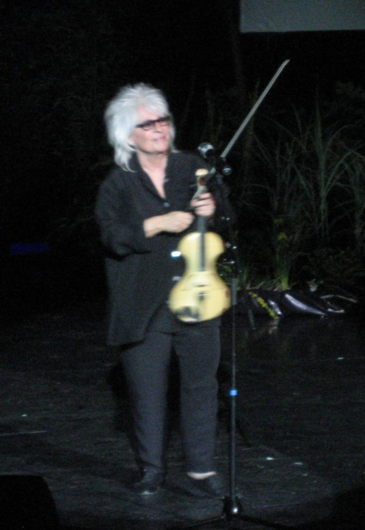 Catherine Lara, Chanteur