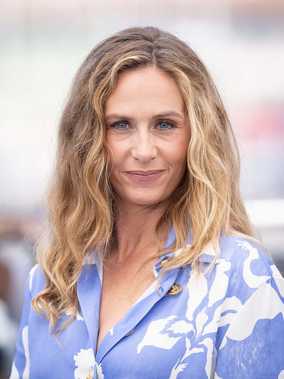 Cécile de France, Acteur