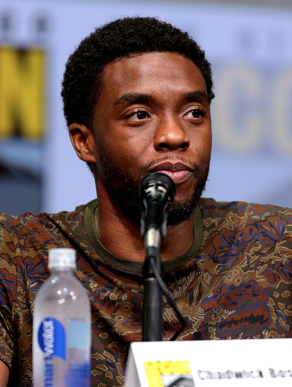 Chadwick Boseman, Acteur