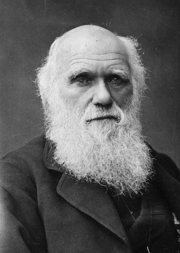 Charles Darwin, Scientifique