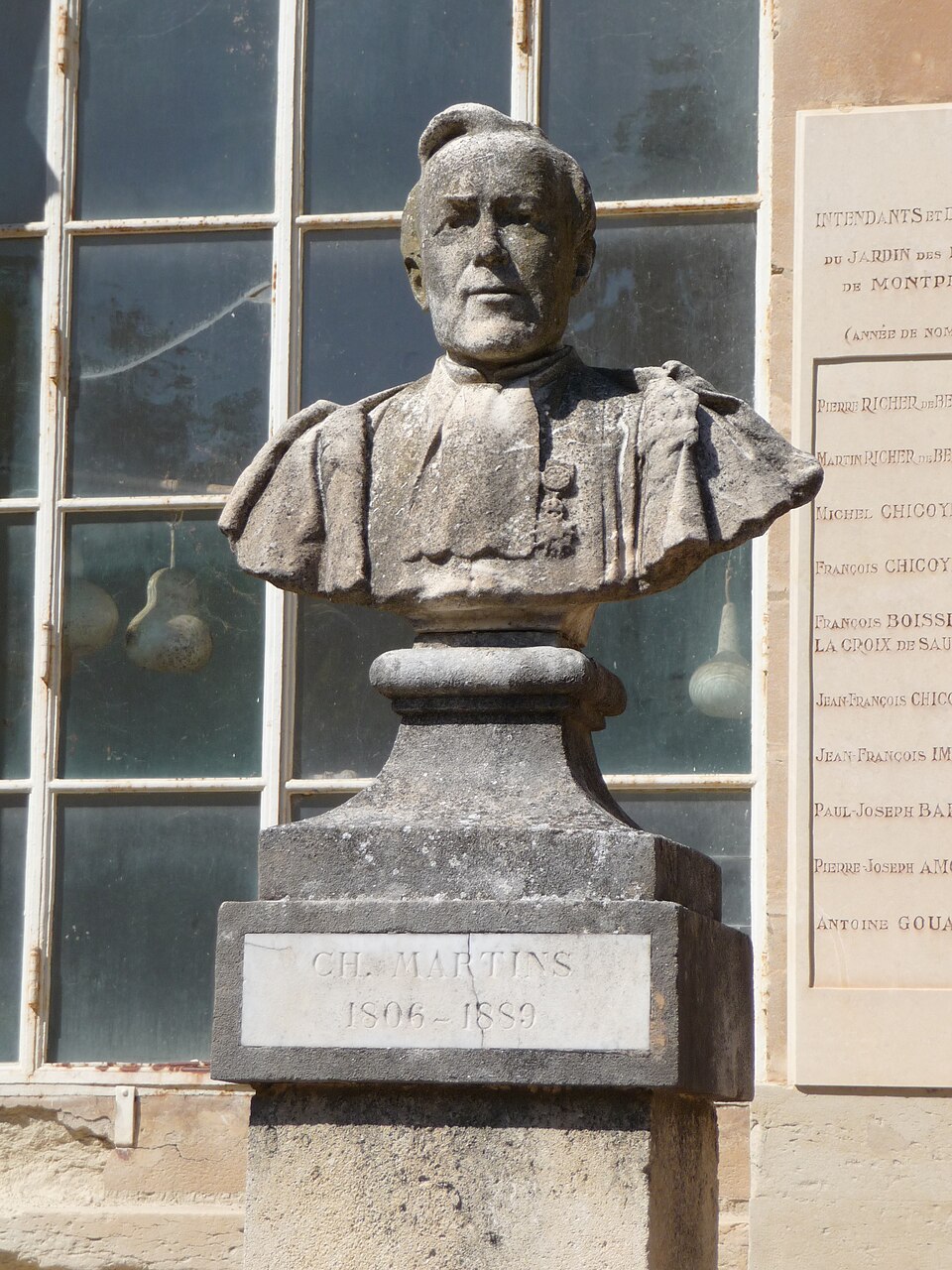 Charles Frédéric Martins, Scientifique