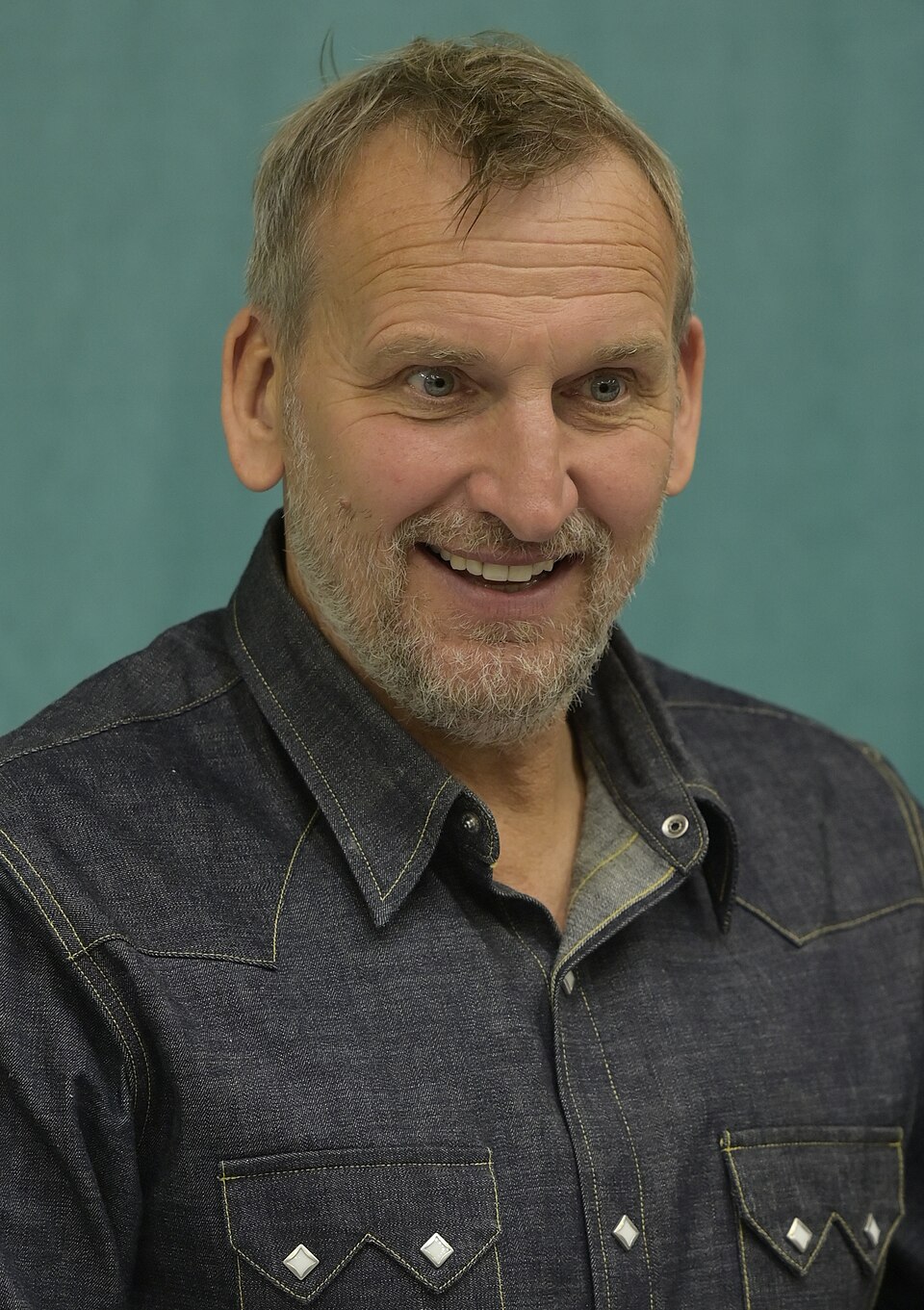 Christopher Eccleston, Acteur