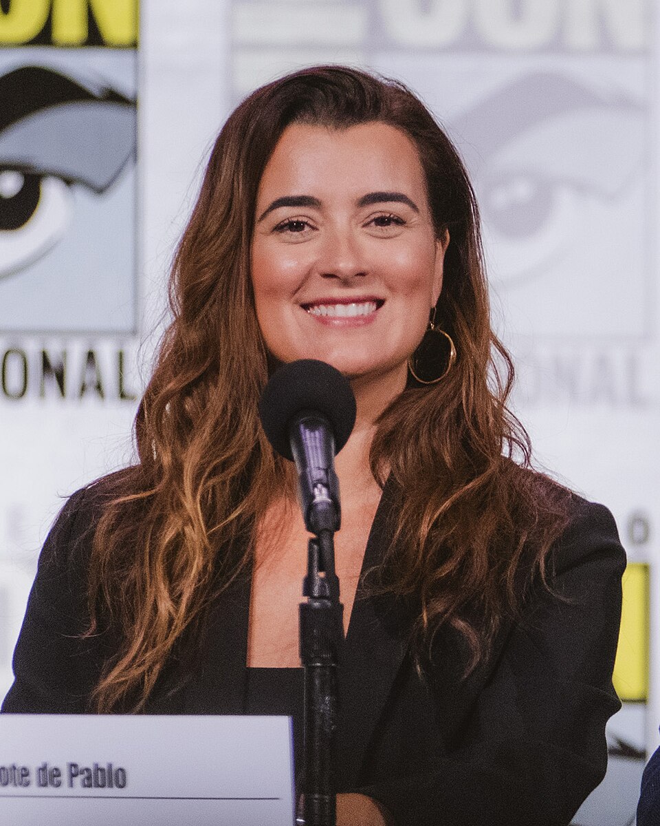 Cote de Pablo, Acteur