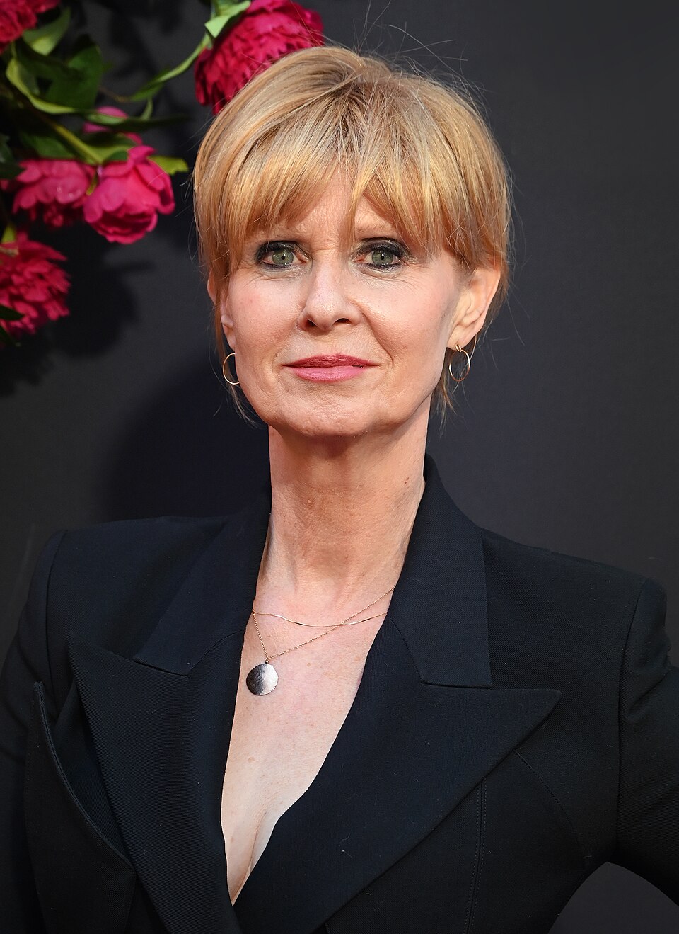 Cynthia Nixon, Acteur