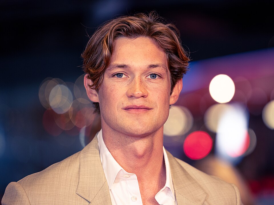 Damian Hardung, Acteur