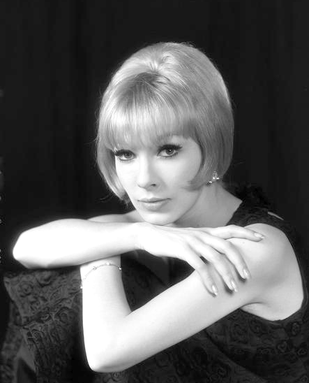 Dany Saval, Acteur