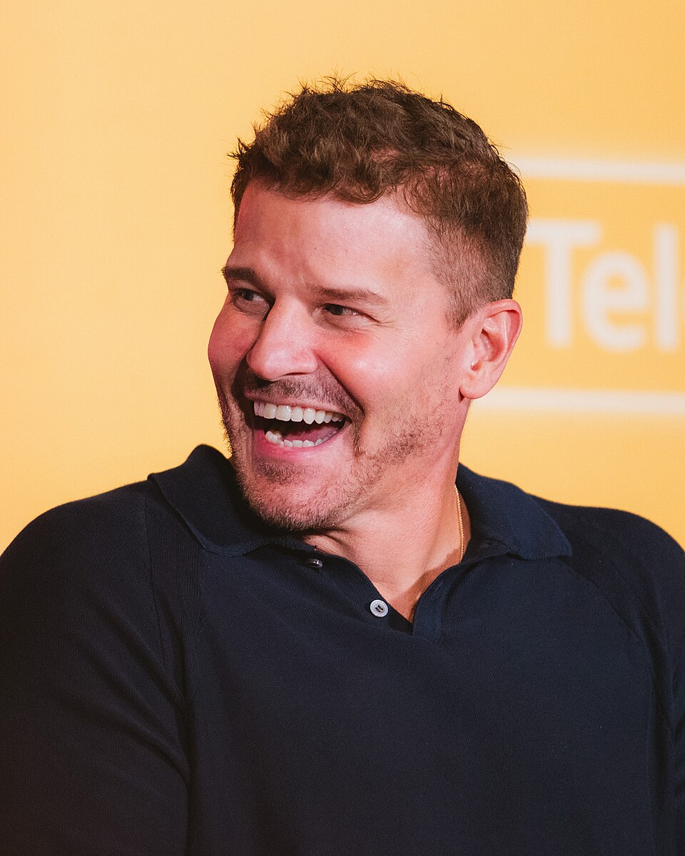 David Boreanaz, Acteur