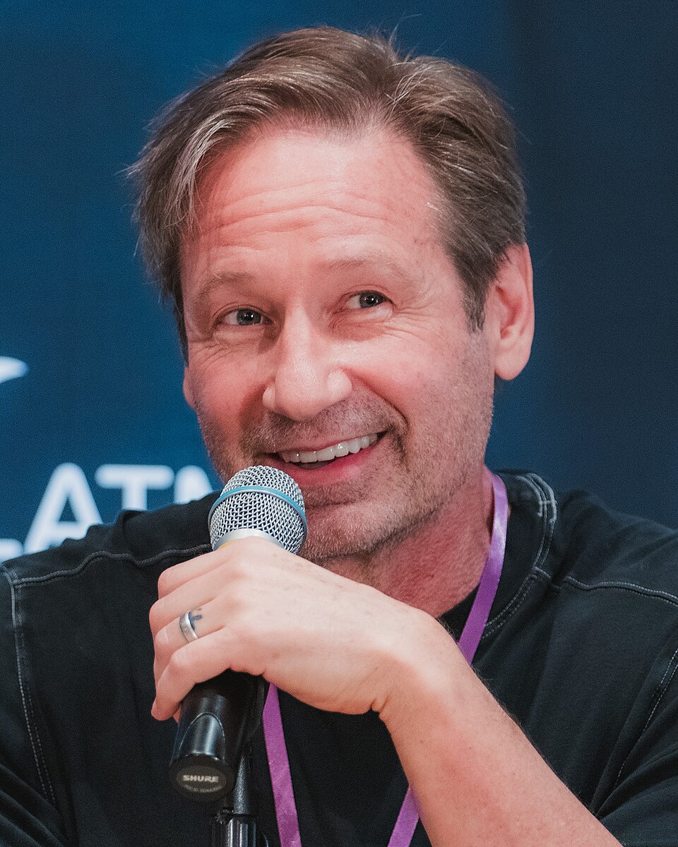 David Duchovny, Acteur