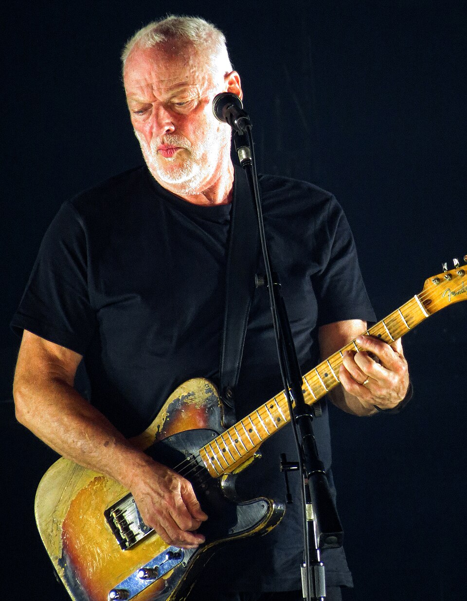 David Gilmour, Musicien