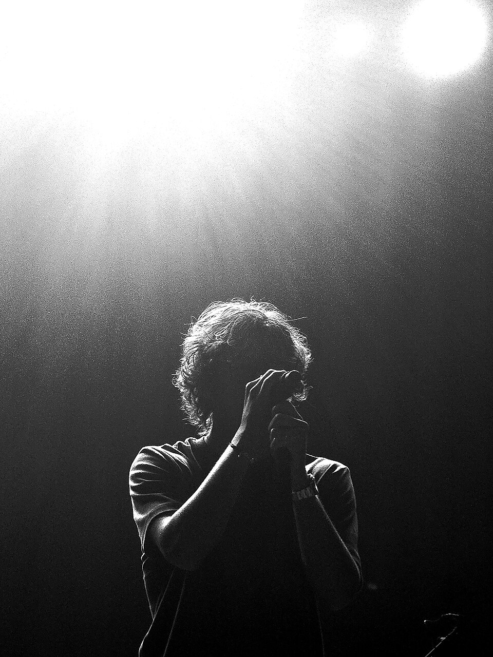 David Kushner, Chanteur