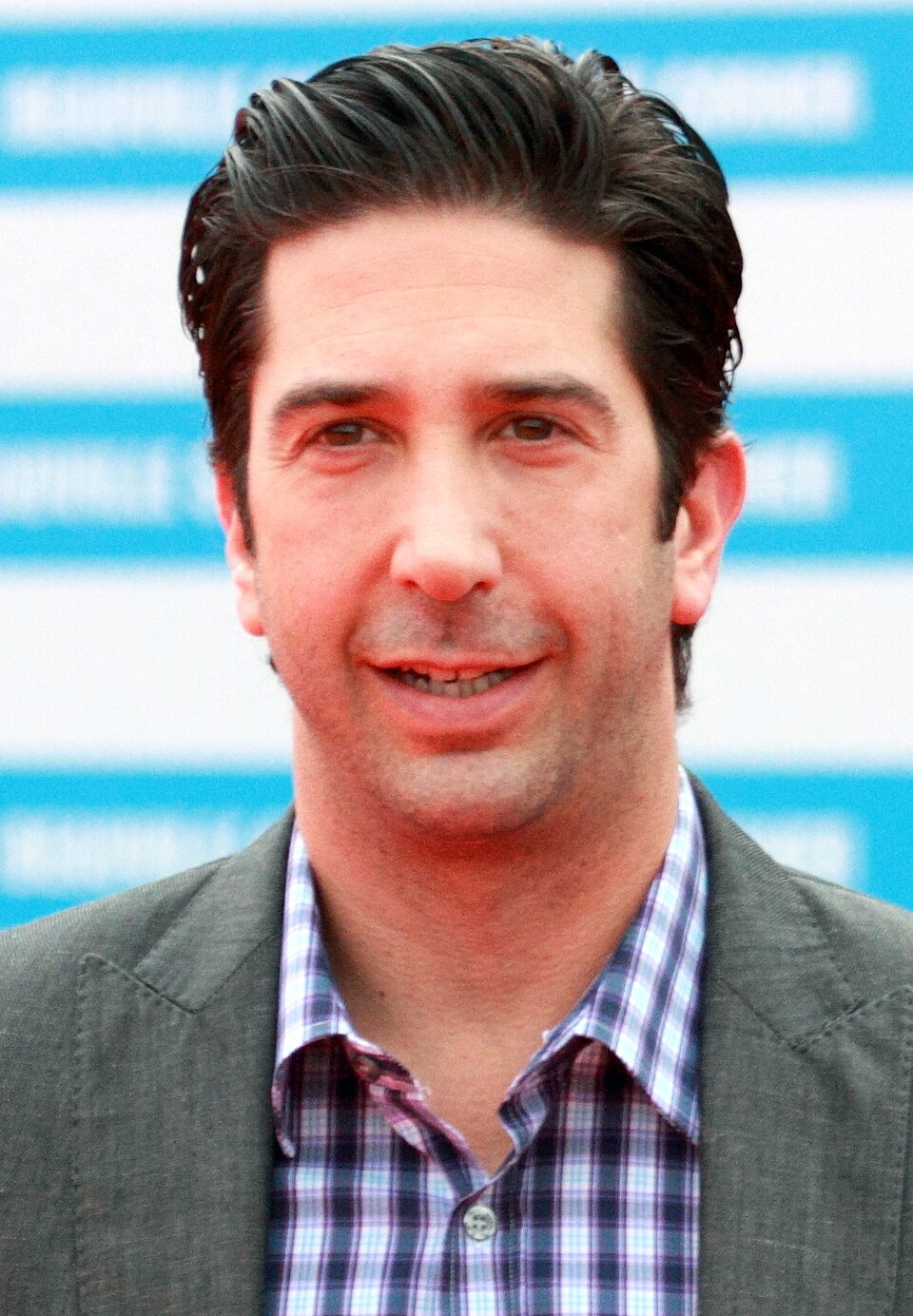 David Schwimmer, Acteur