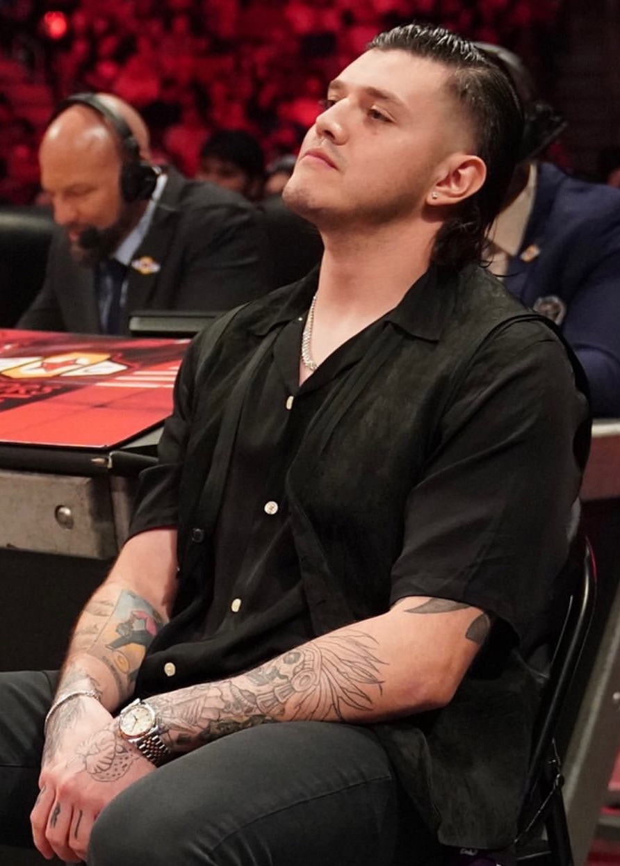 Dominik Mysterio, Catcheur
