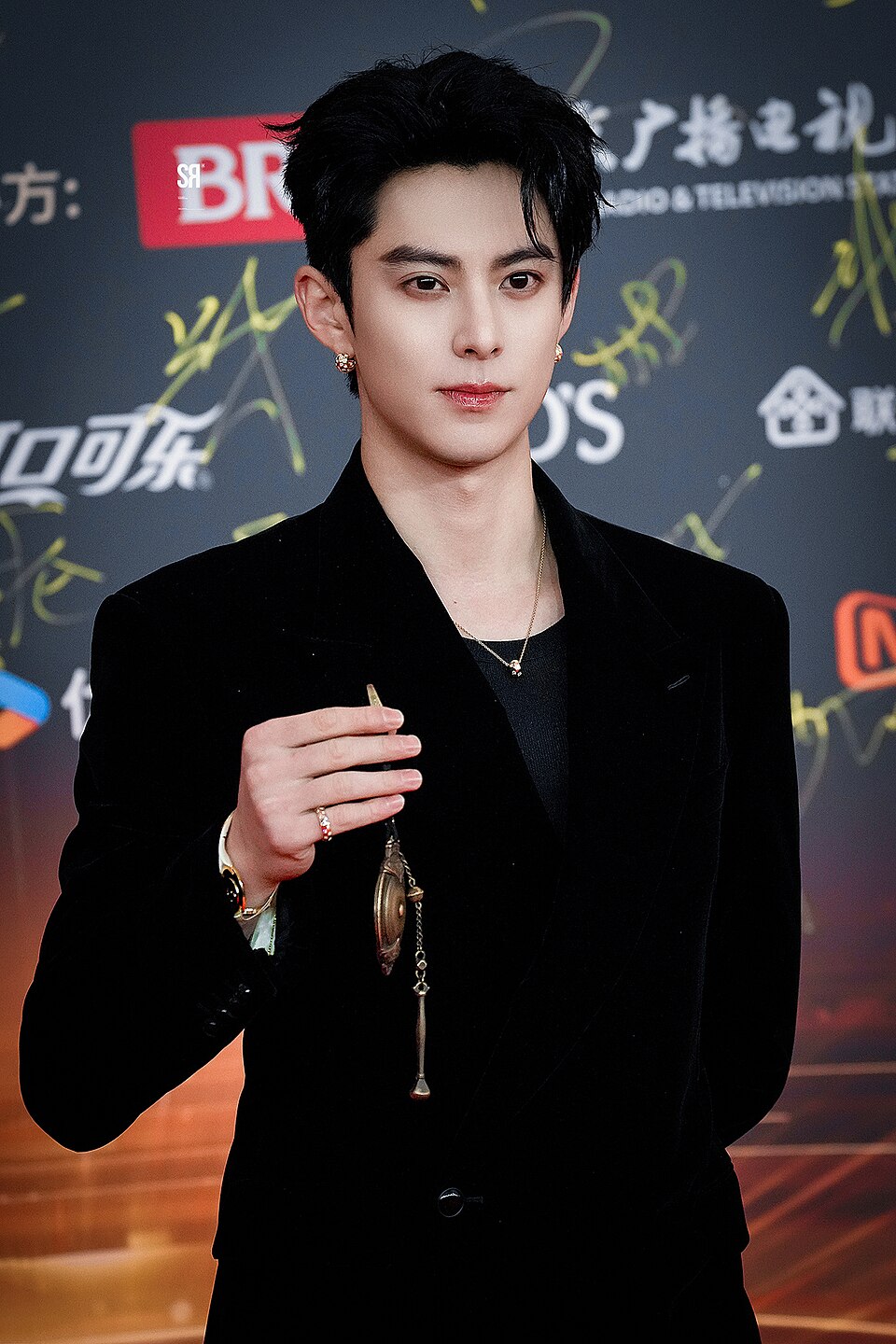 Dylan Wang, Acteur