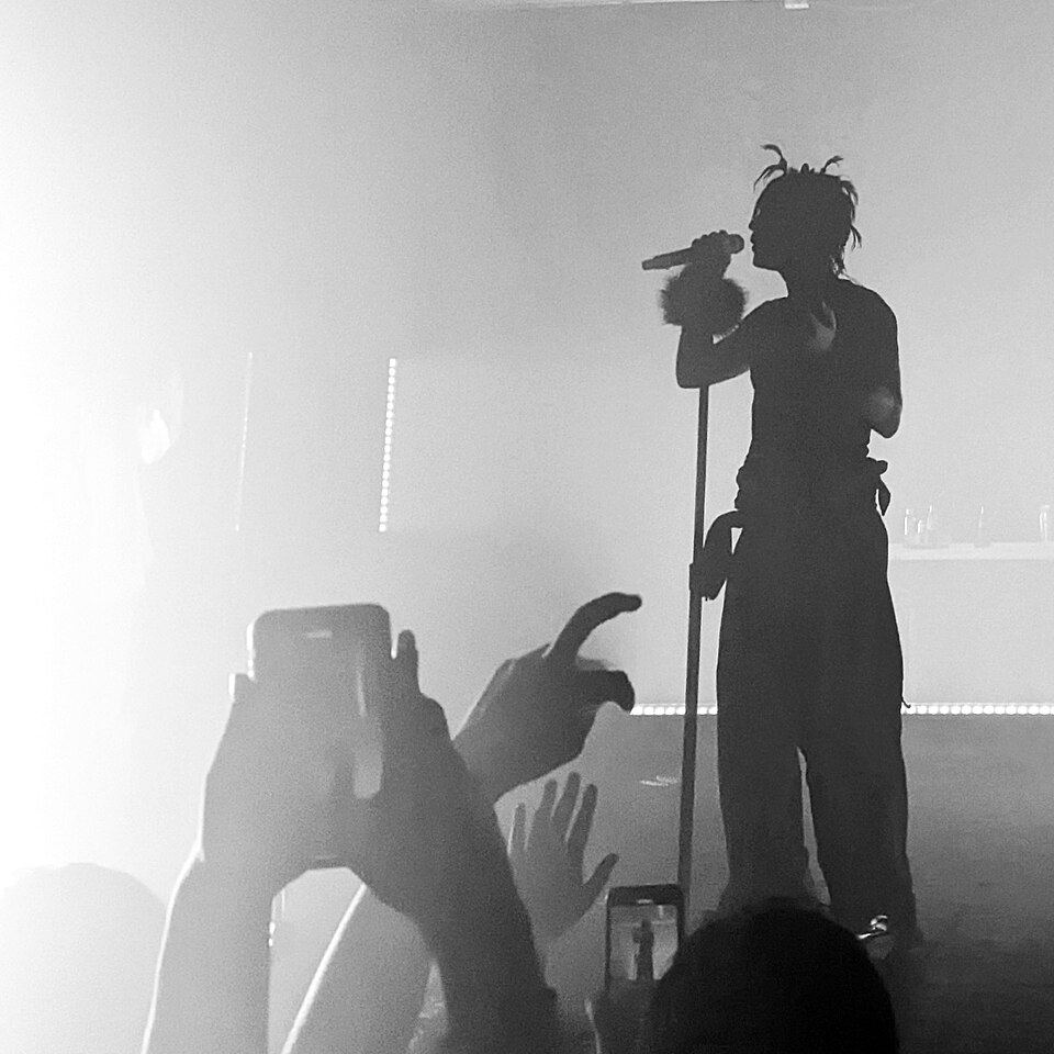 Ecco2K, Chanteur