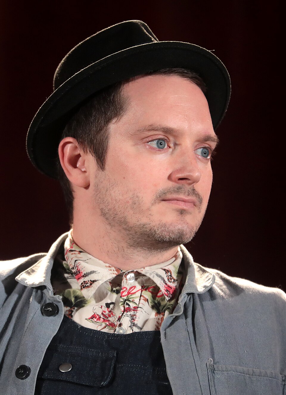 Elijah Wood, Acteur