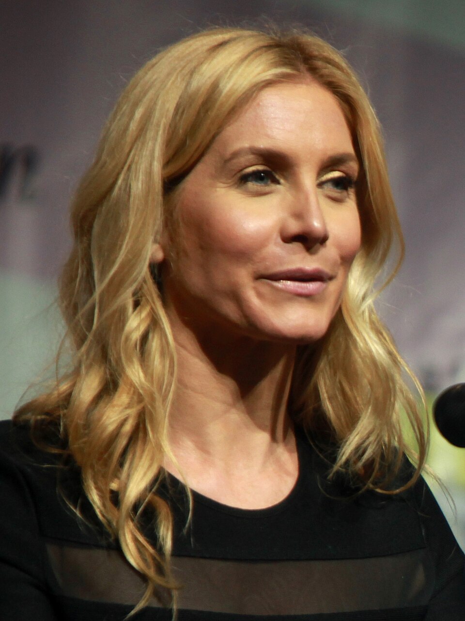 Elizabeth Mitchell, Acteur