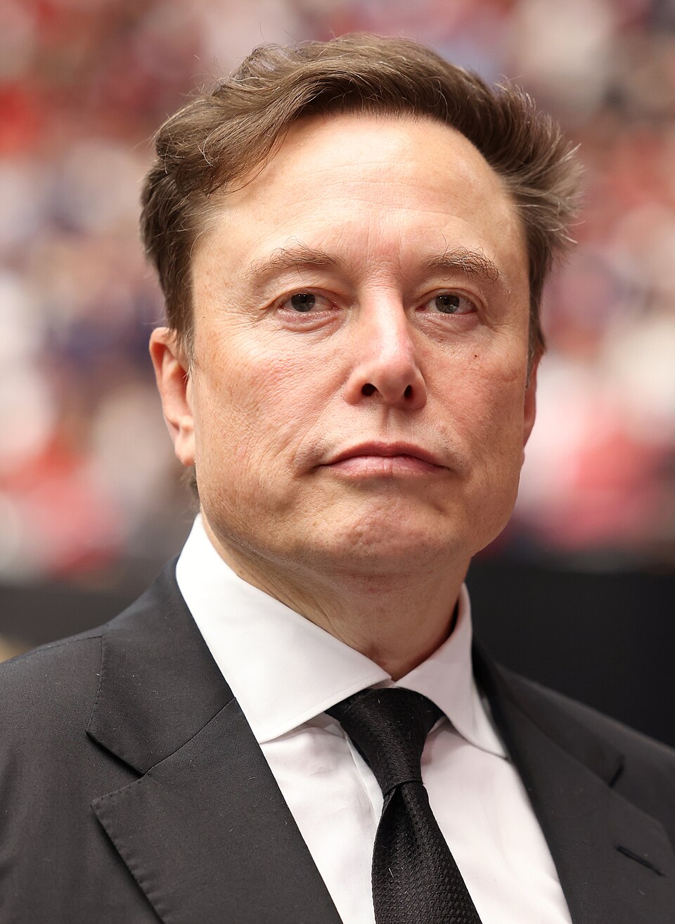 Elon Musk, Entrepreneur