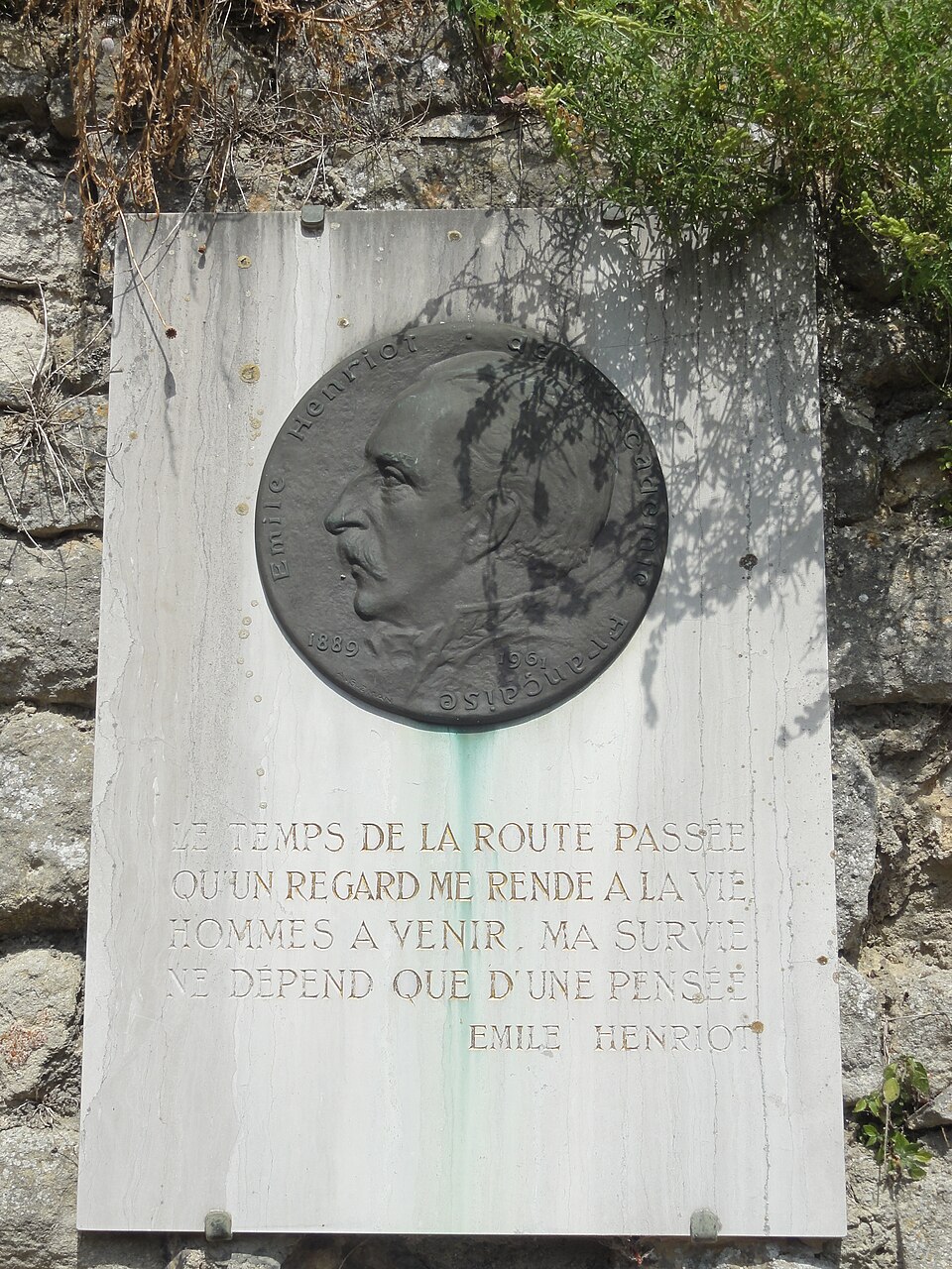 Émile Henriot, Écrivain